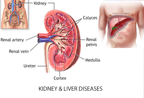 Homeopathy doctor in chandigarh