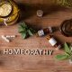 Best Homeopathic Doctor