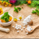 Homeopathy Doctor in Chandigarh